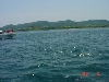 g024s.jpg