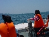 g026s.jpg