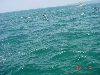 g031s.jpg