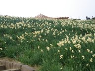 mDSC08547.JPG