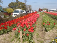 rDSC00334.JPG