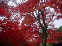DSC00050.JPG