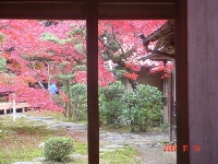 DSC00051.JPG