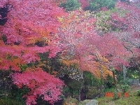 DSC00055.JPG