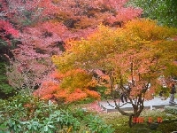 DSC00056.JPG