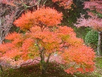 DSC00057.JPG