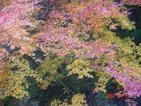 DSC00058.JPG