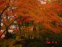 DSC00062.JPG